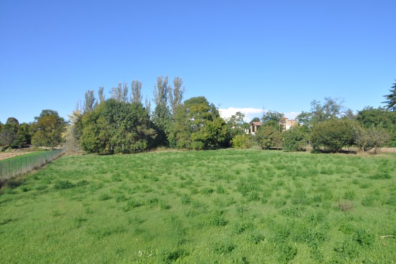 Early twentieth-century villa surrounded by greenery in Codevilla-Oltrepò Pavese 