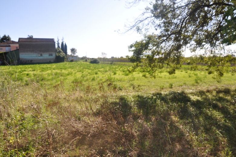 Early twentieth-century villa surrounded by greenery in Codevilla-Oltrepò Pavese 