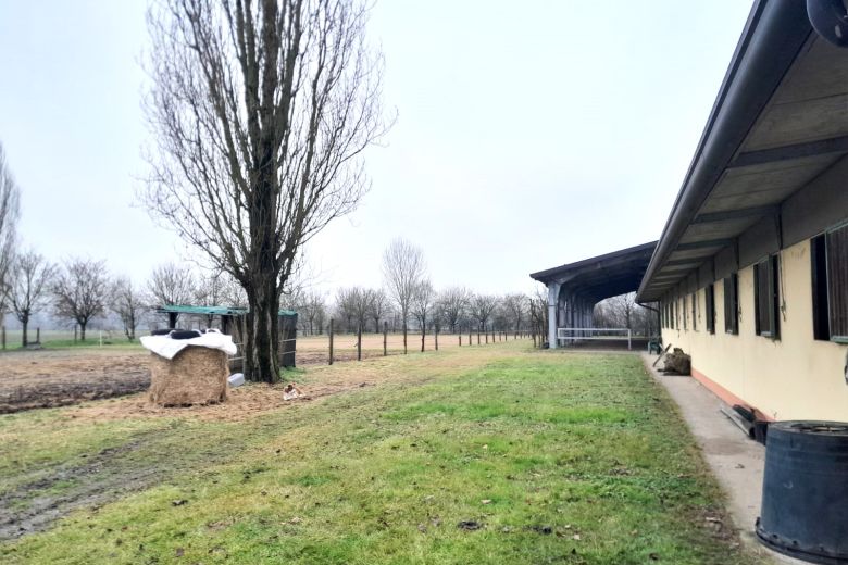 Podere agricolo di 20HA ca. + Maneggio+Struttura ricettiva 800mq