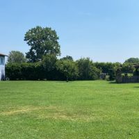 Dog Center in the countryside of South Milan 